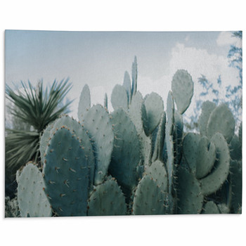 Cactus Rugs & Custom Size Floor Mats