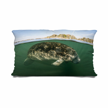 manatee body pillow