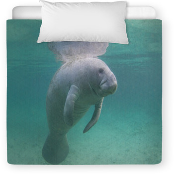 Manatee best sale baby blanket