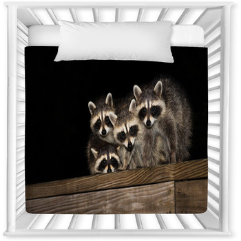 raccoon baby comforter