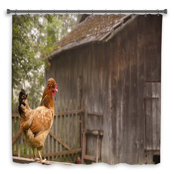 Free Range Chicken Shower Curtain