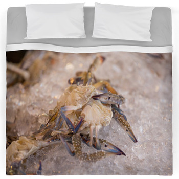 Crab Comforters, Duvets, Sheets & Sets | Custom