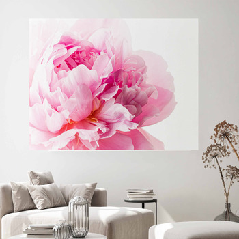 White and pink Wall Decor in Canvas, Murals, Tapestries, Posters & More