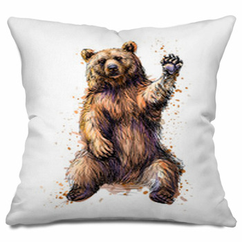 Bear Throw Pillows, Cases