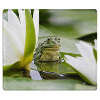 Frog Among White Lilies Bath Mat