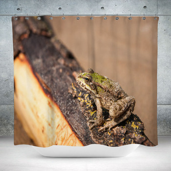 Frog And A Log Ahtuba Russia Custom Size Shower Curtain