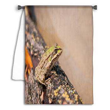 Frog And A Log Ahtuba Russia Towel