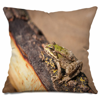 Frog Throw Pillows, Shams & Pillow Cases