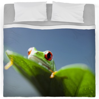 Exotic Bedding | Comforters, Duvet Covers, Sheets & Bed Sets | Custom