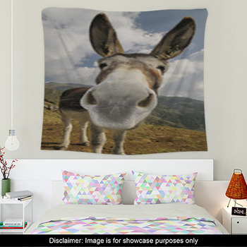 Donkey Wall Decor in Canvas, Murals, Tapestries, Posters & More