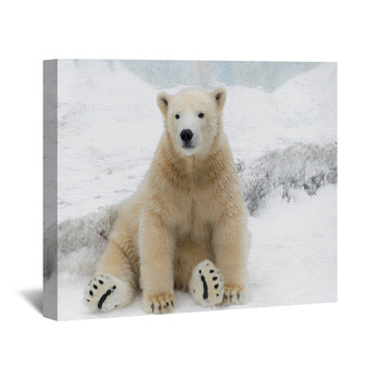 Polar bear Wall Decor in Canvas, Murals, Tapestries, Posters & More