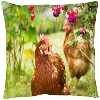 Chicken Throw Pillows, Cases