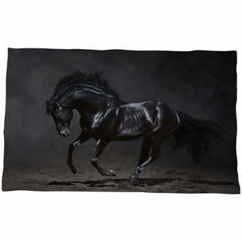 https://www.visionbedding.com/images/theme/galloping-black-horse-on-dark-background-pillow-sham-47712826.jpg