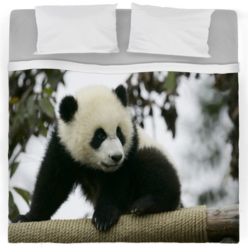 Panda Comforters, Duvets, Sheets & Sets | Personalized