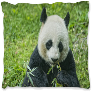 Panda Comforters, Duvets, Sheets & Sets | Personalized