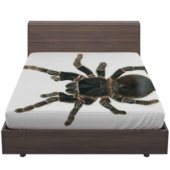 giant tarantula pillow