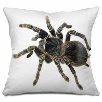 giant tarantula pillow