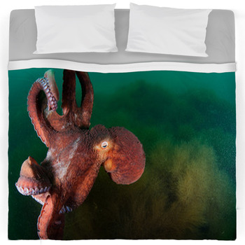 Octopus Bedding 