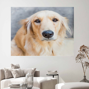 Dog Wall Decor | Murals | Tapestry | Posters | Custom Sizes