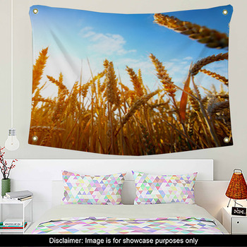 Sunset Wall Decor in Canvas, Murals, Tapestries, Posters & More