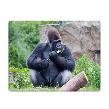 Gorilla Shower Curtains, Bath Mats, & Towels Personalize