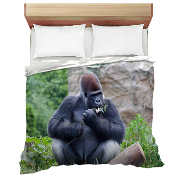 Gorilla Comforters, Duvets, Sheets & Sets 