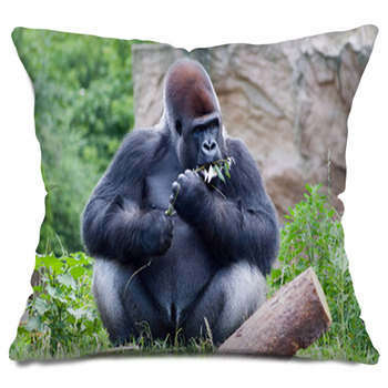 Gorilla Throw Pillows, Cases