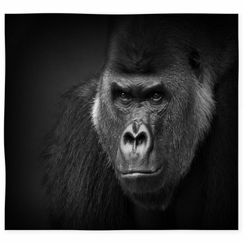 Black monkey – animals area rug carpet