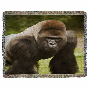 https://www.visionbedding.com/images/theme/gorilla-posing-woven-throw-blanket-20214003.jpg