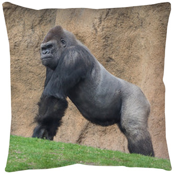 https://www.visionbedding.com/images/theme/gorilla-washable-floor-pillow-61787622.jpg