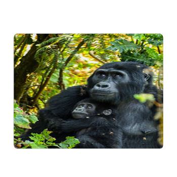 https://www.visionbedding.com/images/theme/gorillas-bath-mat-68488176.jpg