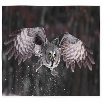 Owl Area Rugs & Custom Size Floor Mats