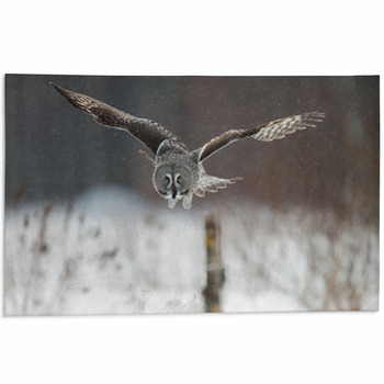 Owl Area Rugs & Custom Size Floor Mats