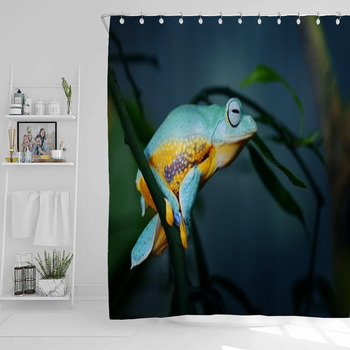 Green Flying Frog Frog Rhacophorus Shower Curtain