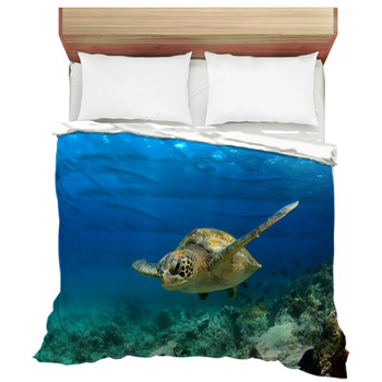 Turtle Comforters, Duvets, Sheets & Sets | Custom