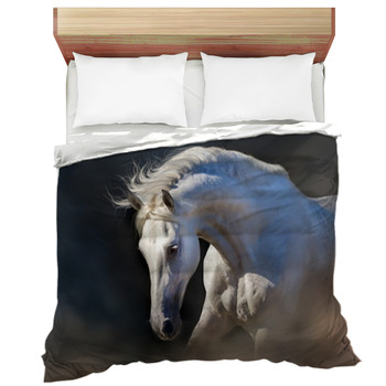 Grey Horse Portrait On The Black Background Comforter