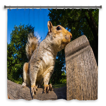 Squirrel Shower Curtains, Bath Mats, & Towels Personalize