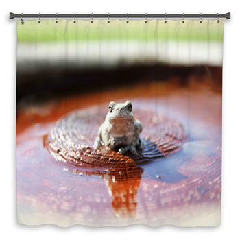 Grey Tree Frog Sitting In Bird Bath In Shower Curtain