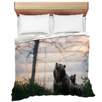 Bear Comforters, Duvets, Sheets & Sets | Custom