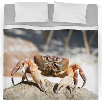 Crab Comforters, Duvets, Sheets & Sets | Custom