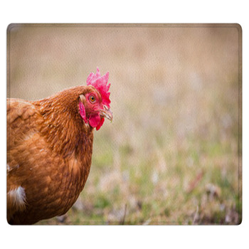 Hen Bath Mat