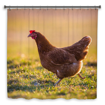 Hen Custom Size Shower Curtain