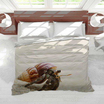 Hermit hotsell crab bedding