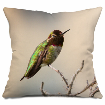 Hummingbird pillow clearance cases