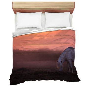 Icelandic Horse In The Field During Sunset Comforter