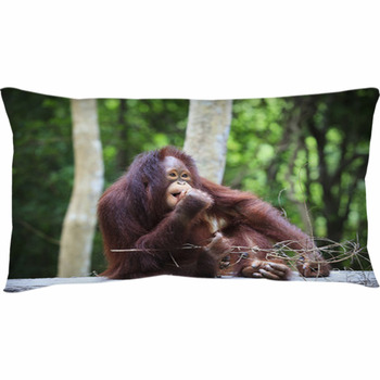 orangutan body pillow