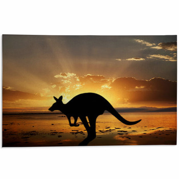 Kangaroo Area Rugs & Custom Size Floor Mats