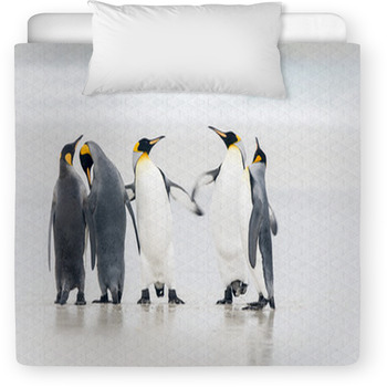 penguin baby bedding