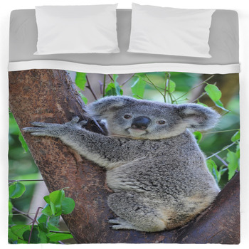 Koala Comforters, Duvets, Sheets & Sets | Custom