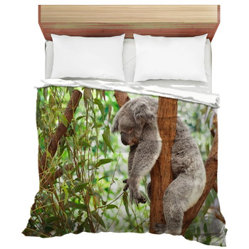 Bear Comforters, Duvets, Sheets & Sets | Custom